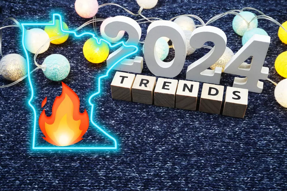 From Bans to Buffets: Minnesota’s Top 24 Trending Stories of 2024