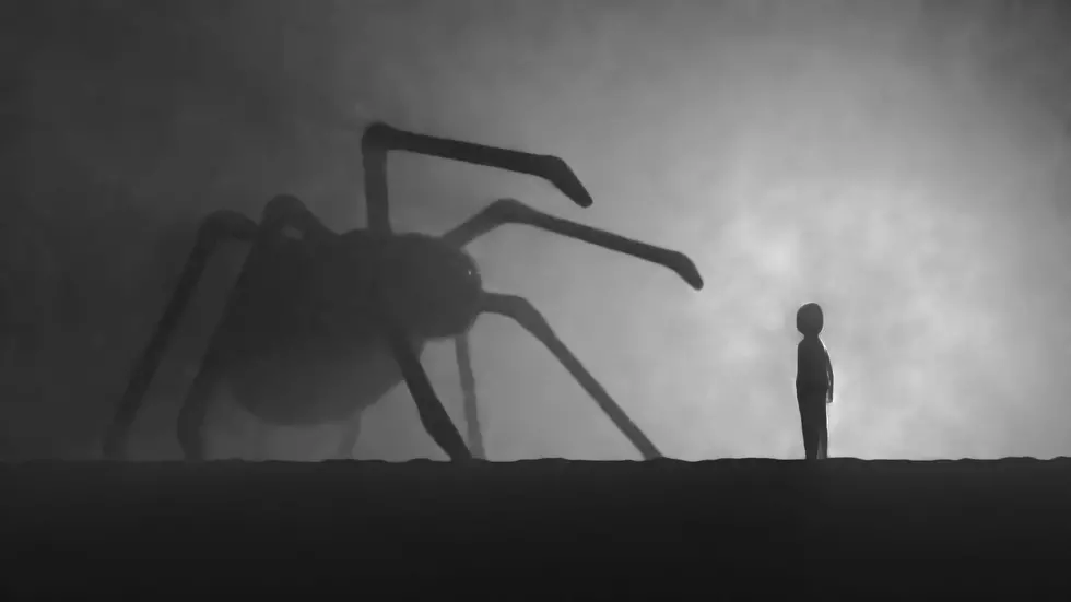 Do Spiders Invade Your Home Before A Minnesota Winter?