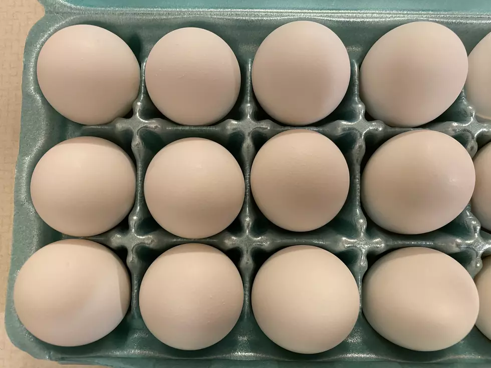 Salmonella Outbreak: Eggs Recall Affects 9 States Including Minnesota