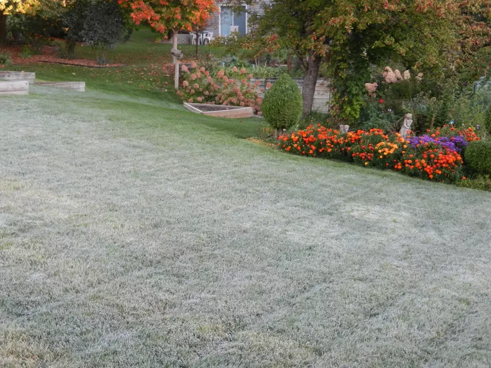 UPDATE: Frost Advisory Issued For Southeast Minnesota