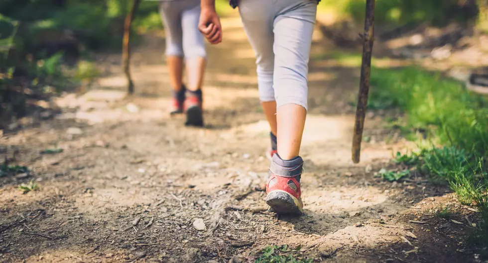 DANGER IN THE WOODS: Urgent Warning For Minnesota Hikers