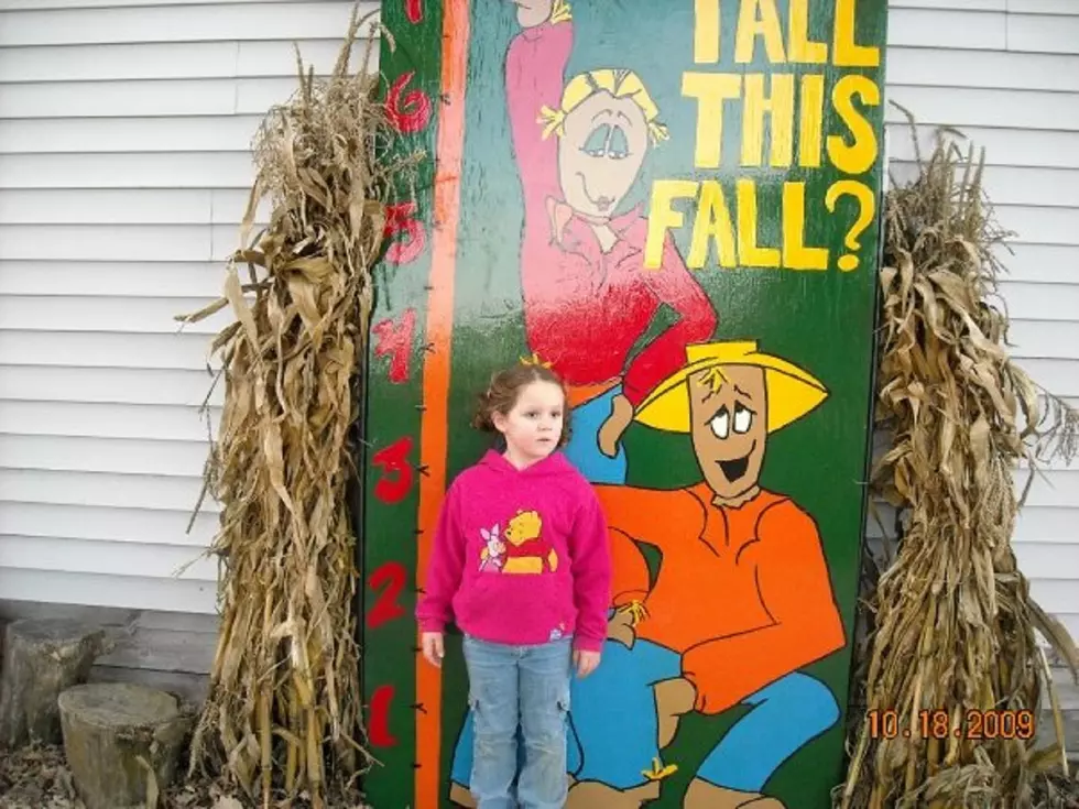 Tweite’s Family Farm Corn Maze in Byron Closing After This Season – 2019