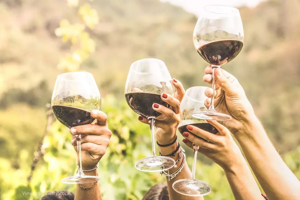 19 Amazing Wineries You Must Visit In Southeast Minnesota