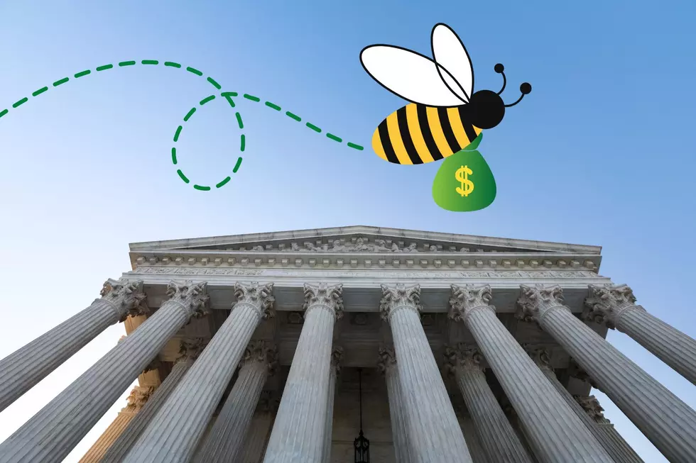 Minnesota Beekeeper Loses Facebook Slander Suit – Owes $370,000