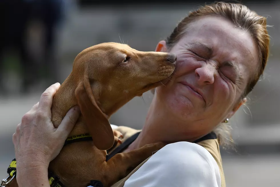 IRS Says ‘No Pets Allowed’ On Minnesota And Federal Tax Forms