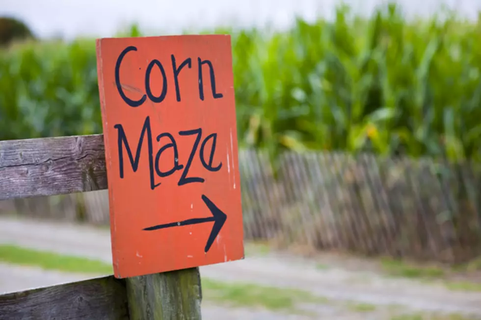 7 Reasons Fall In Southern Minnesota is #1