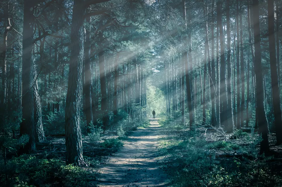 Don’t Explore These 5 Haunted Minnesota Trails Alone