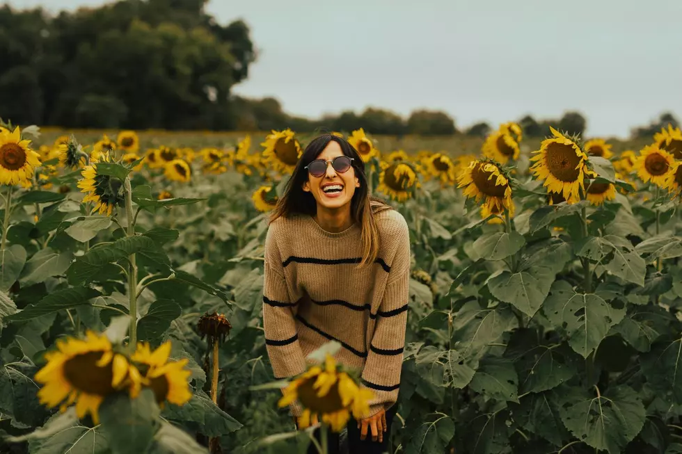6 Stunning Sunflower Fields to Visit Around Minnesota