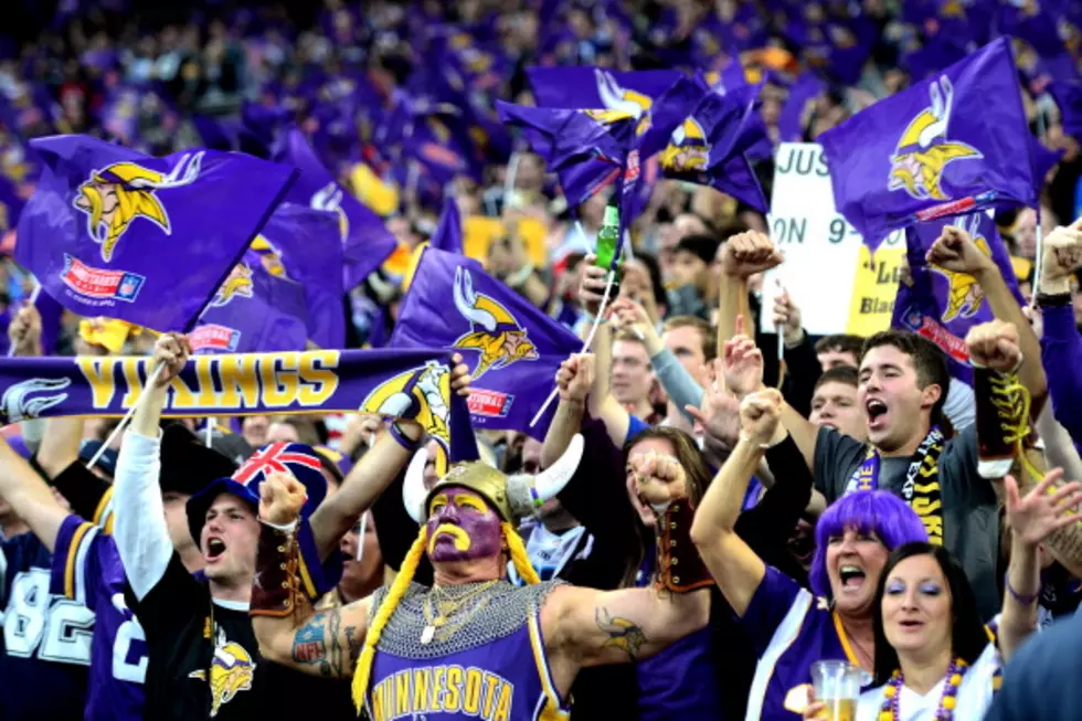 What is the Cost of Being a Minnesota Vikings Fan?