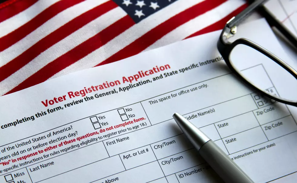 5 Things To Know About The Minnesota Primary in Rochester