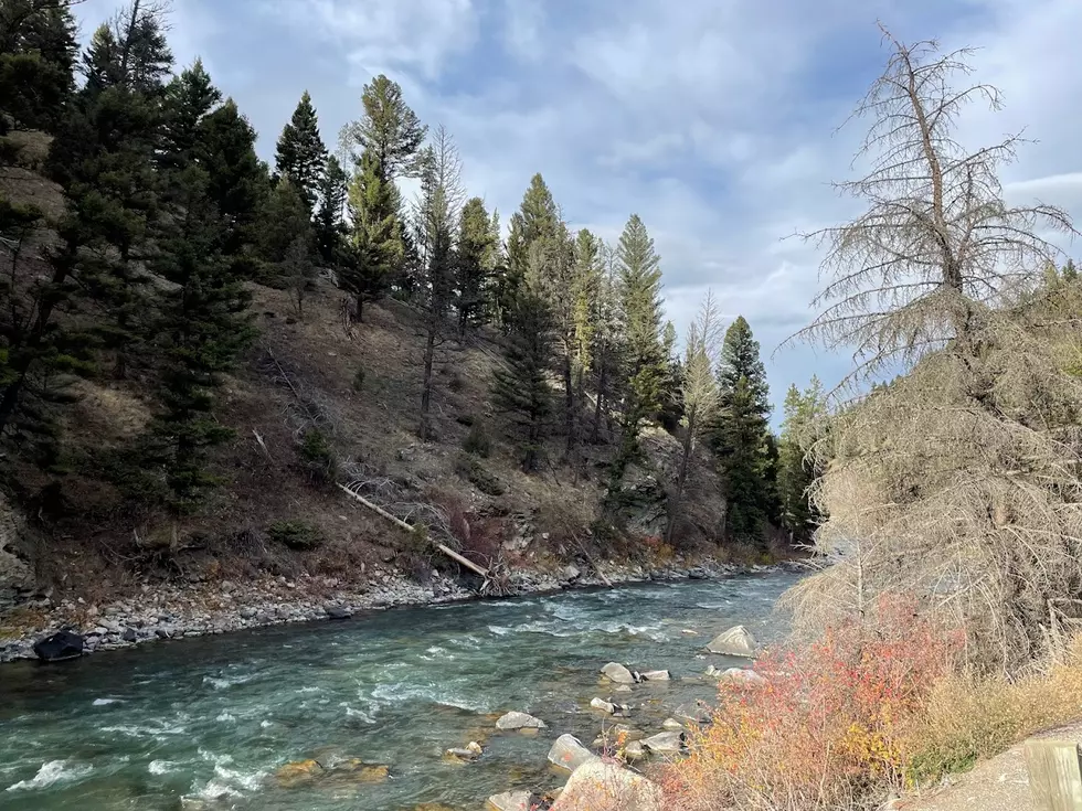 How to Get in Free Friday at These 6 State Parks Near Rochester