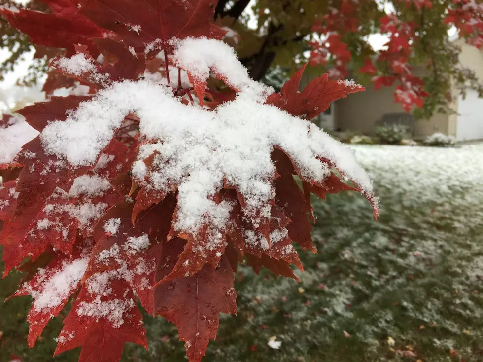 When Is the Earliest It’s Ever Snowed in Minnesota?
