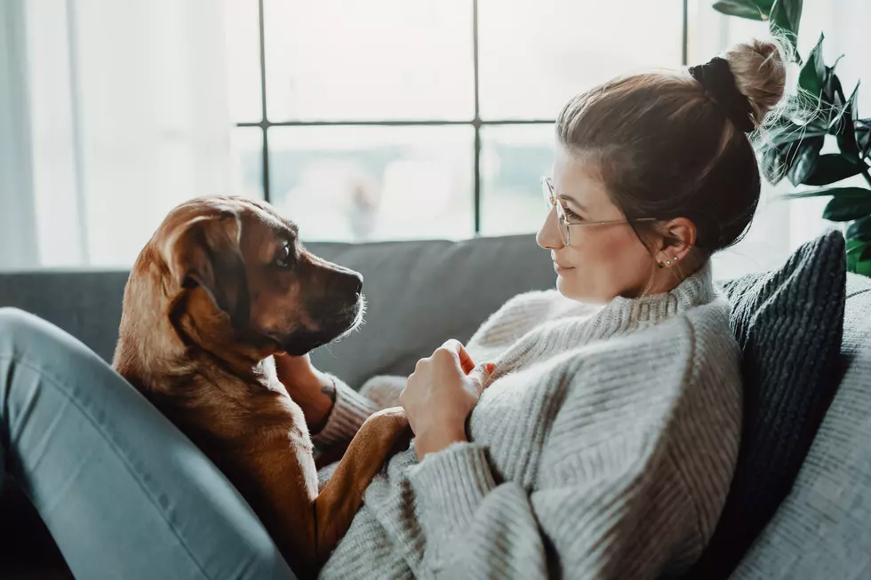 Urgent Warning for Minnesota Pet Owners