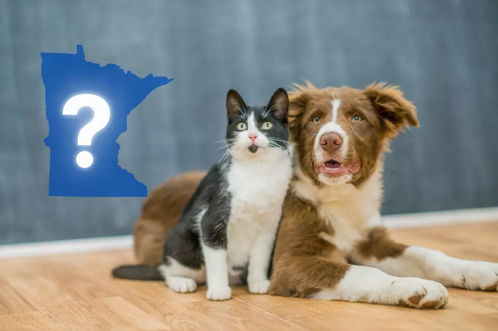 We Now Know: Is Minnesota a Cat or Dog State?