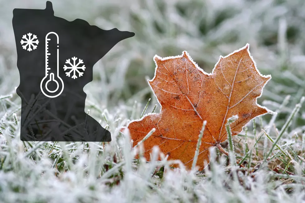 Farmer’s Almanac Predicts First Frost Dates of 2024 in Minnesota