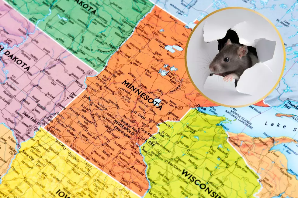 This Minnesota City Now One of Most Rodent-Infested in the Country