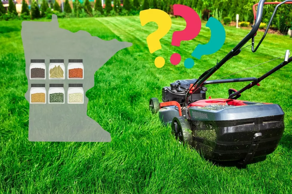 This Simple Spice Can Now Help Transform Your Lawn in Minnesota