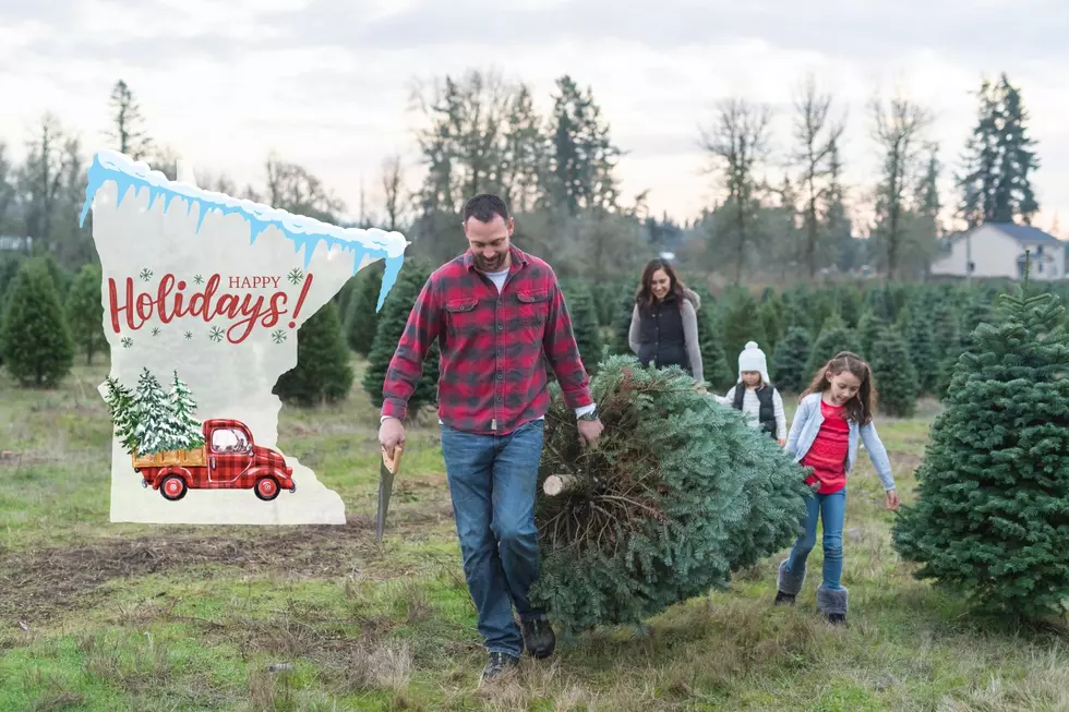 Do These Things Now For Your Best Christmas Tree Ever in Minnesota