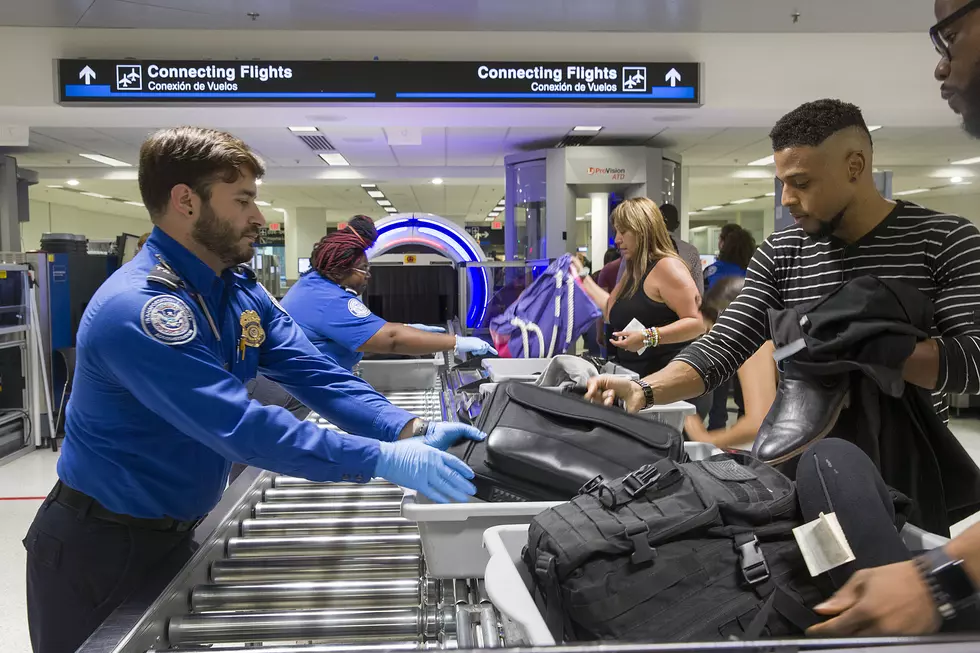 What Did TSA Agents Confiscate At MSP Airport Last Year?