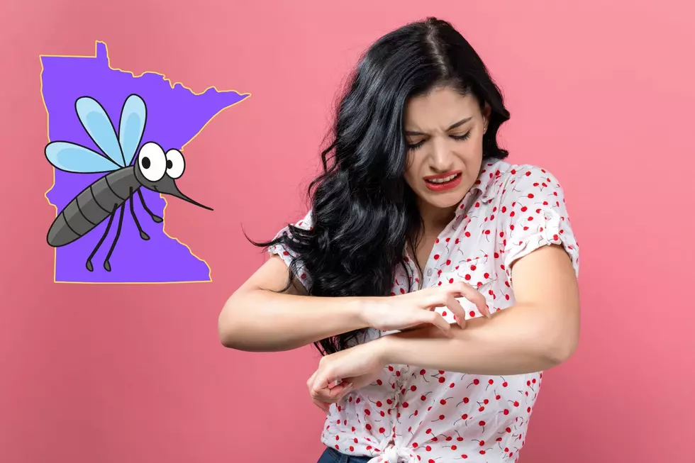 We Now Know How Bad Mosquitos Will Be in Minnesota This Year