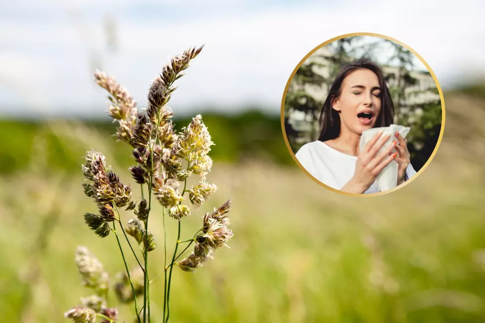 Allergies in Minnesota: Why Your Sneezes Last Longer Now