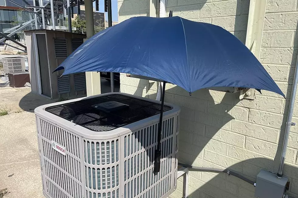 Should You Shade Your AC? MN Homeowners Need to Know Now
