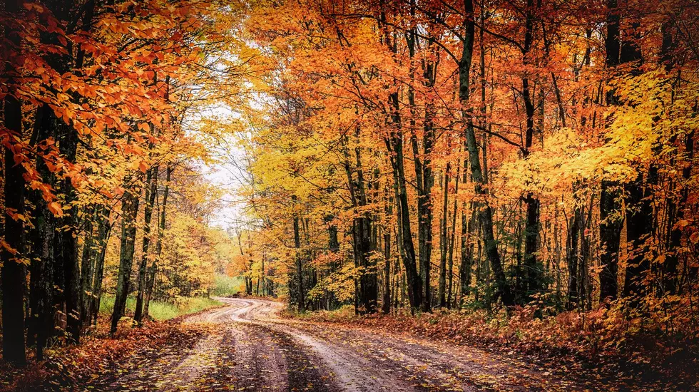 When Will Minnesota’s Fall Colors Peak in 2025?
