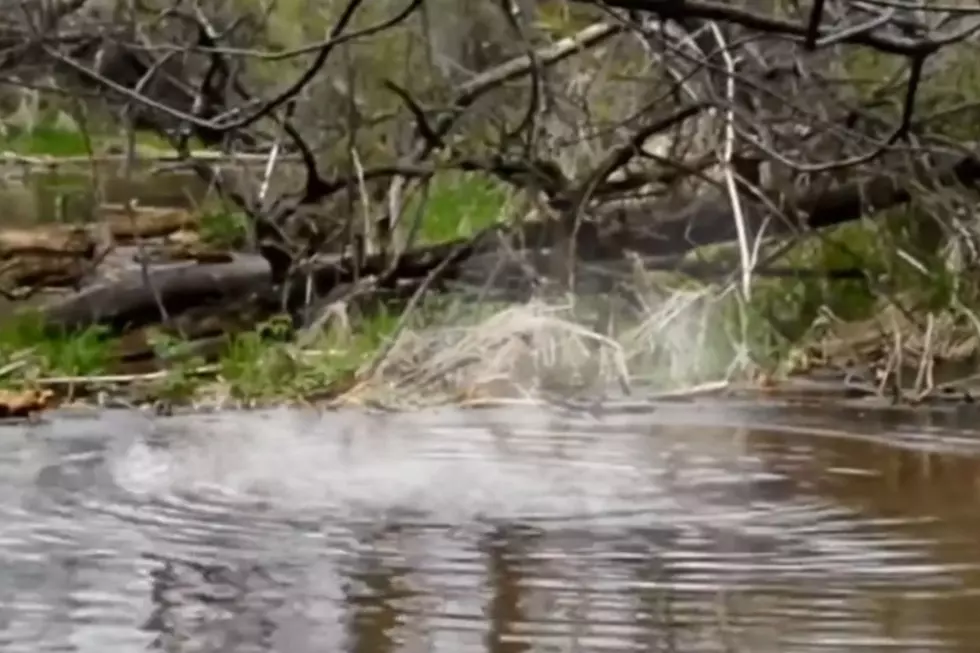 Minnesota’s Secret ‘Boiling Spring’ Looks Like Yellowstone