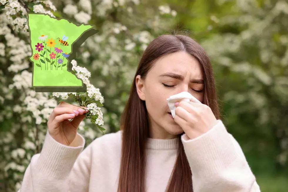 Why Allergy Season Feels Worse in Minnesota